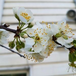 Meet your Posher, Mel